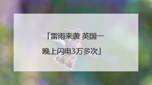 雷雨来袭 英国一晚上闪电3万多次