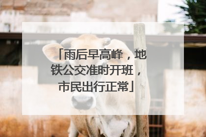 雨后早高峰，地铁公交准时开班，市民出行正常