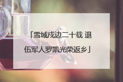 雪域戍边二十载 退伍军人罗凯光荣返乡