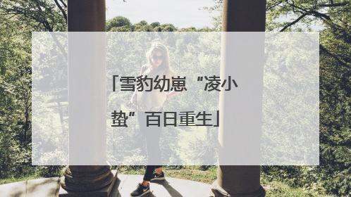 雪豹幼崽“凌小蛰”百日重生