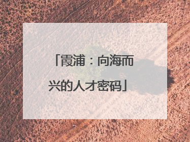 霞浦：向海而兴的人才密码