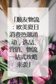 顺友物流：欧美夏日消费热潮涌动，选品、营销、物流一站式攻略来袭