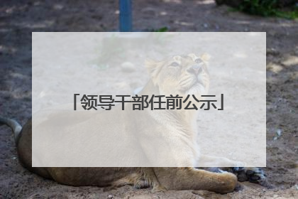 领导干部任前公示