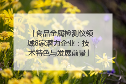 食品金属检测仪领域8家潜力企业：技术特色与发展前景