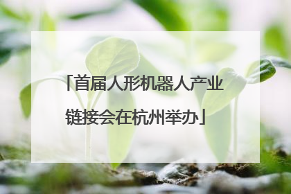 首届人形机器人产业链接会在杭州举办