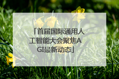 首届国际通用人工智能大会聚焦AGI最新动态