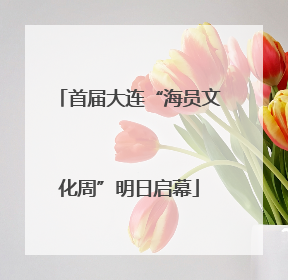 首届大连“海员文化周”明日启幕