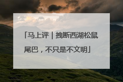 马上评｜拽断西湖松鼠尾巴，不只是不文明