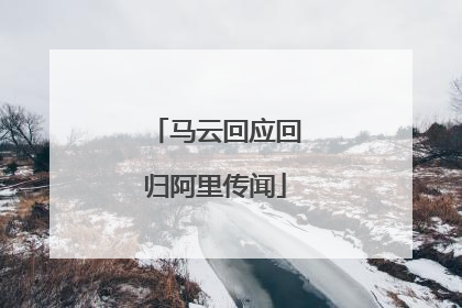 马云回应回归阿里传闻