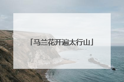 马兰花开遍太行山