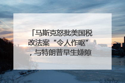 马斯克怒批美国税改法案“令人作呕”，与特朗普早生嫌隙？｜国际识局