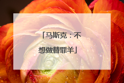 马斯克：不想做替罪羊