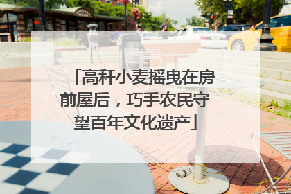 高秆小麦摇曳在房前屋后，巧手农民守望百年文化遗产