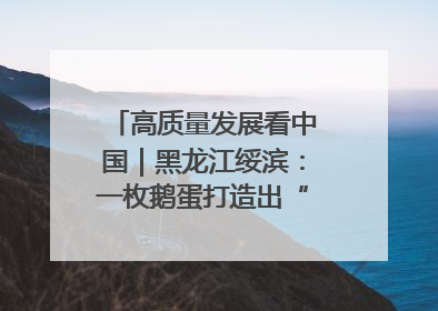 高质量发展看中国｜黑龙江绥滨：一枚鹅蛋打造出“产业图腾”