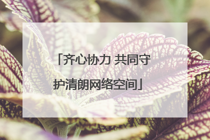 齐心协力 共同守护清朗网络空间