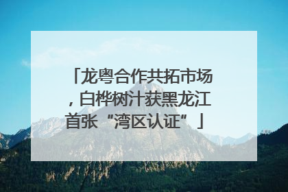 龙粤合作共拓市场，白桦树汁获黑龙江首张“湾区认证”
