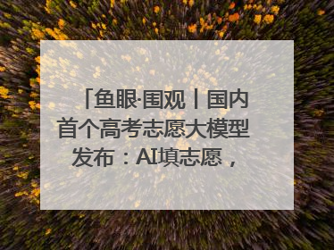 鱼眼·围观丨国内首个高考志愿大模型发布：AI填志愿，靠不靠谱？