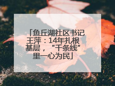 鱼丘湖社区书记王萍：14年扎根基层，“千条线”里一心为民
