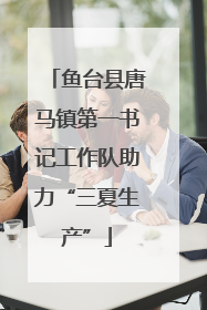 鱼台县唐马镇第一书记工作队助力“三夏生产”
