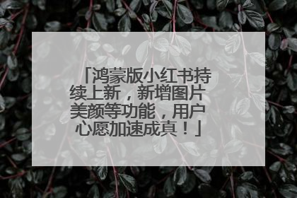 鸿蒙版小红书持续上新，新增图片美颜等功能，用户心愿加速成真！