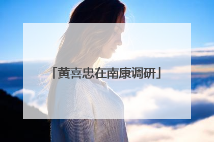 黄喜忠在南康调研