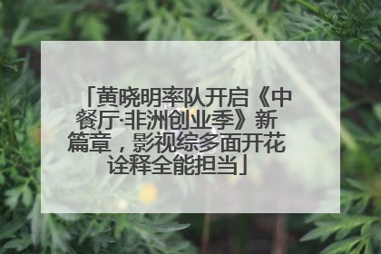 黄晓明率队开启《中餐厅·非洲创业季》新篇章，影视综多面开花诠释全能担当