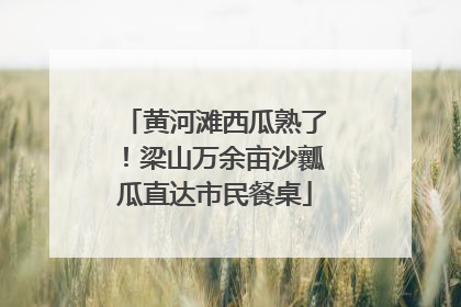 黄河滩西瓜熟了！梁山万余亩沙瓤瓜直达市民餐桌