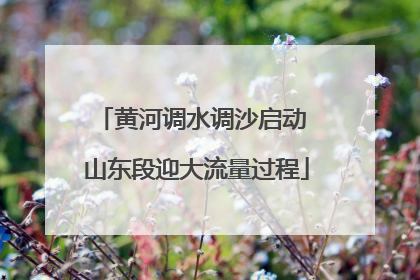 黄河调水调沙启动 山东段迎大流量过程