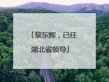 黎东辉，已任湖北省领导