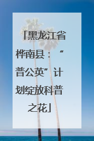 黑龙江省桦南县：“普公英”计划绽放科普之花