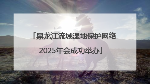 黑龙江流域湿地保护网络2025年会成功举办