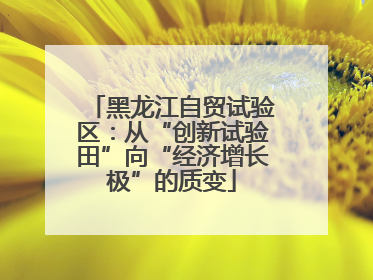黑龙江自贸试验区：从“创新试验田”向“经济增长极”的质变