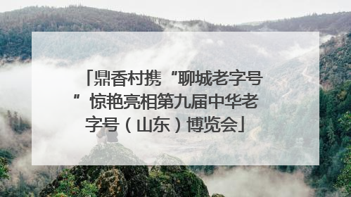 鼎香村携“聊城老字号”惊艳亮相第九届中华老字号（山东）博览会