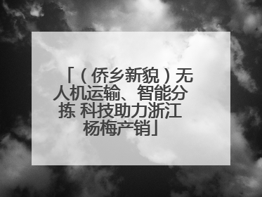 （侨乡新貌）无人机运输、智能分拣 科技助力浙江杨梅产销