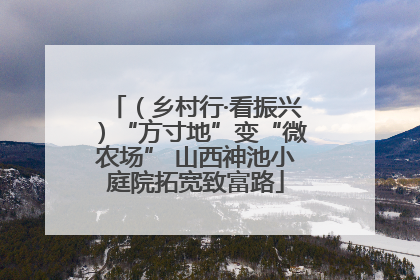（乡村行·看振兴）“方寸地”变“微农场” 山西神池小庭院拓宽致富路