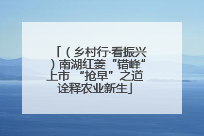 （乡村行·看振兴）南湖红菱“错峰”上市 “抢早”之道诠释农业新生