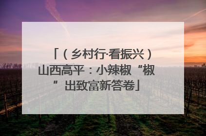 （乡村行·看振兴）山西高平：小辣椒“椒”出致富新答卷