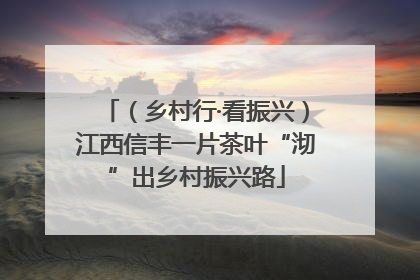 （乡村行·看振兴）江西信丰一片茶叶“沏”出乡村振兴路