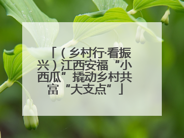 （乡村行·看振兴）江西安福“小西瓜”撬动乡村共富“大支点”