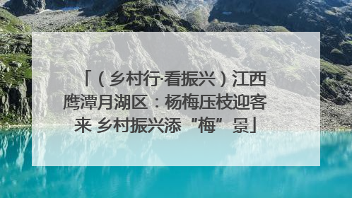 （乡村行·看振兴）江西鹰潭月湖区：杨梅压枝迎客来 乡村振兴添“梅”景