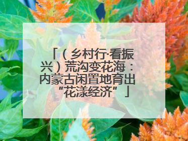 （乡村行·看振兴）荒沟变花海：内蒙古闲置地育出“花漾经济”