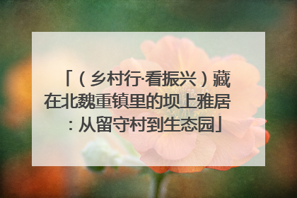 （乡村行·看振兴）藏在北魏重镇里的坝上雅居：从留守村到生态园