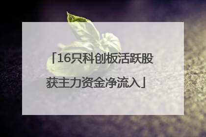 16只科创板活跃股获主力资金净流入
