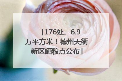 176处、6.9万平方米！德州天衢新区晒粮点公布