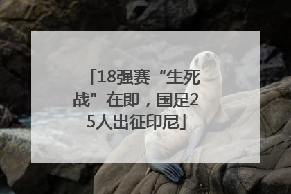 18强赛“生死战”在即，国足25人出征印尼