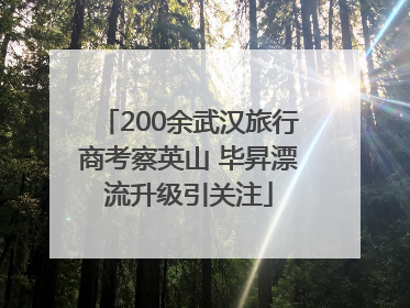 200余武汉旅行商考察英山 毕昇漂流升级引关注