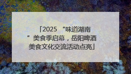 2025 “味道湖南”美食季启幕，岳阳啤酒美食文化交流活动点亮