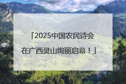 2025中国农民诗会在广西灵山绚丽启幕！