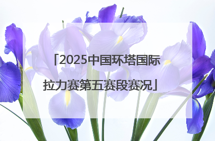 2025中国环塔国际拉力赛第五赛段赛况