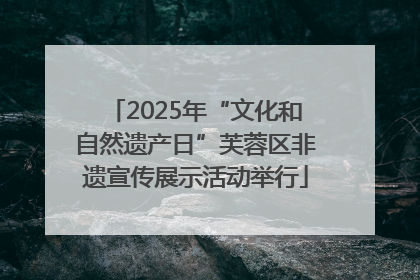 2025年“文化和自然遗产日”芙蓉区非遗宣传展示活动举行